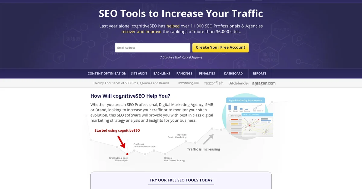 CognitiveSEO